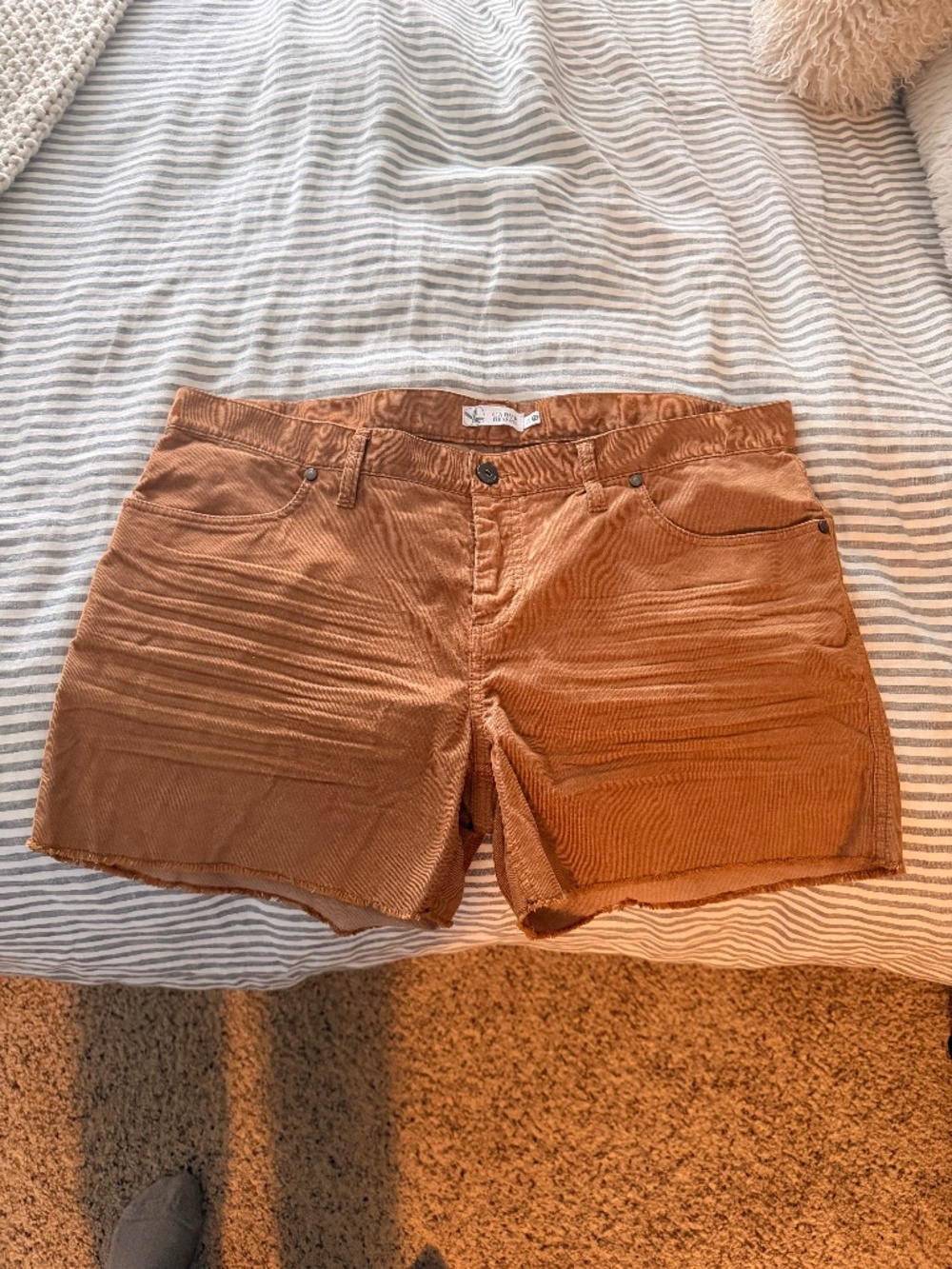 Carve Designs Women's Oahu Shorts Size 12